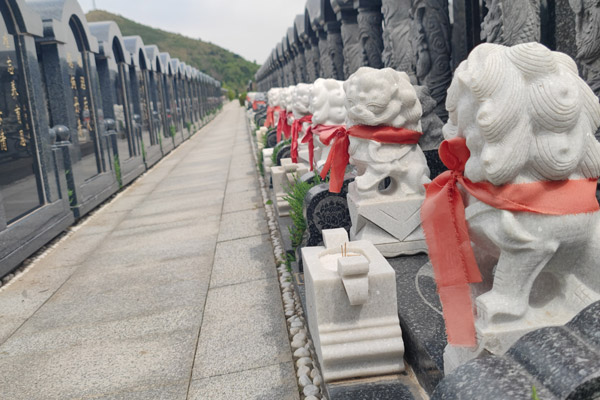 沈阳公墓祭扫规定与流程指南：文明祭扫，怀念逝者
