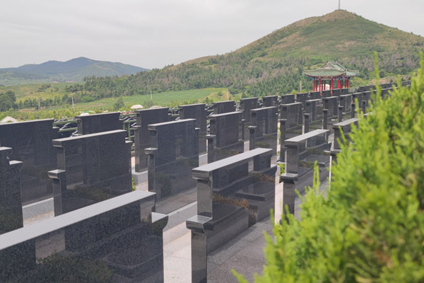 如何联系沈阳龙福山公墓？获取官方联系方式指南