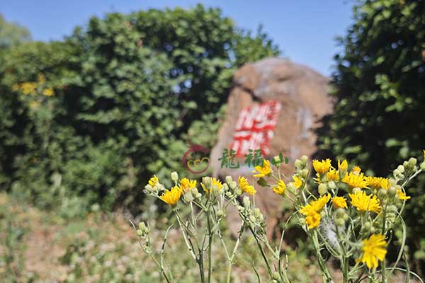沈阳龙福山墓园
