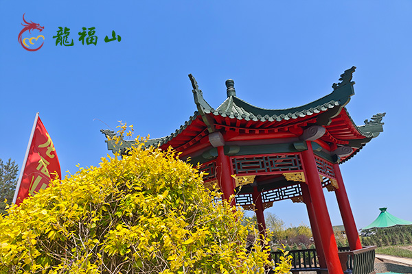 沈阳墓地春节扫墓习俗：柑橘作为供品的适宜性分析