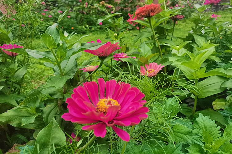 永恒回忆的珍贵守护——沈阳龙福山纪念园价格实惠可负担的永久安息之地