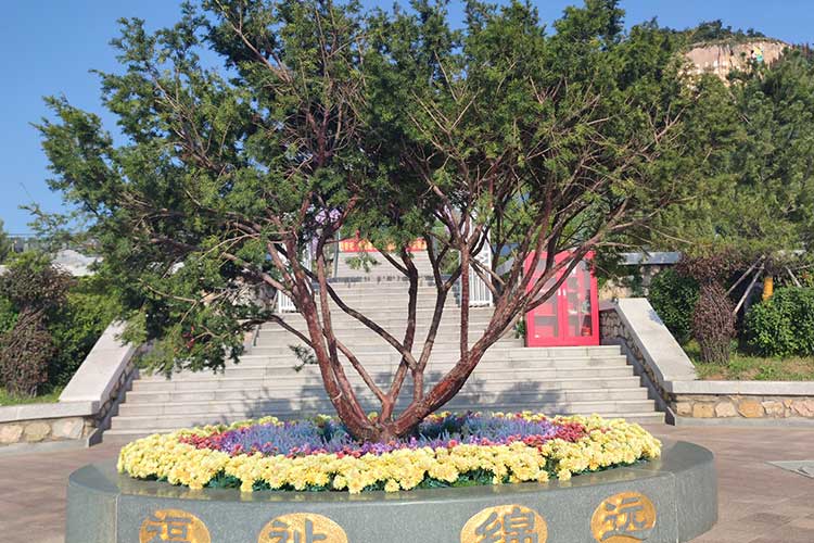 沈阳墓地性价比之选：探寻便宜又好的安息之地